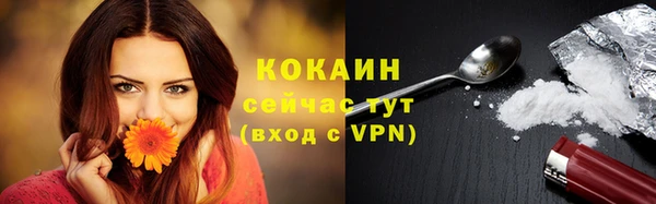 гидра Новокубанск