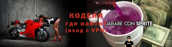 прущие грибы Нягань