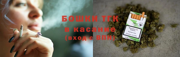 прущие грибы Нягань