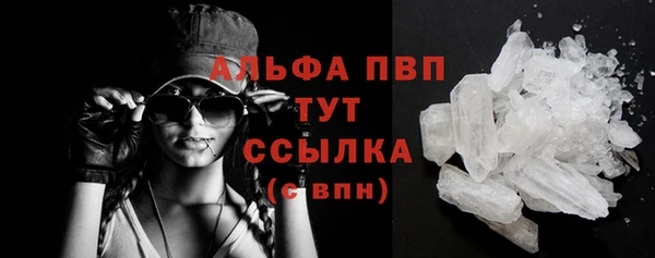 гидра Новокубанск