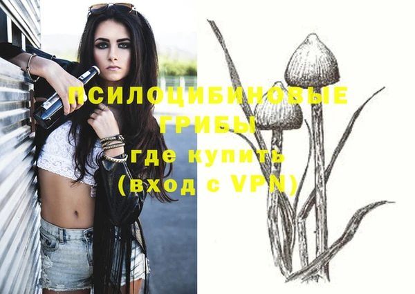 a pvp Краснослободск