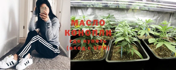 ешки Новозыбков