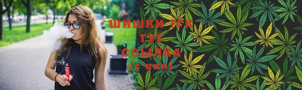 ешки Новозыбков