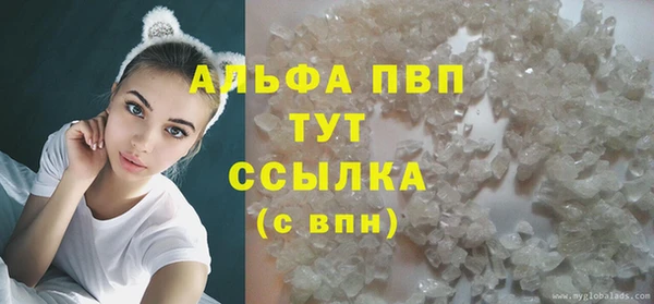ешки Новозыбков