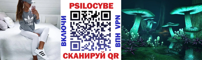 как найти закладки  Серов  Галлюциногенные грибы прущие грибы 
