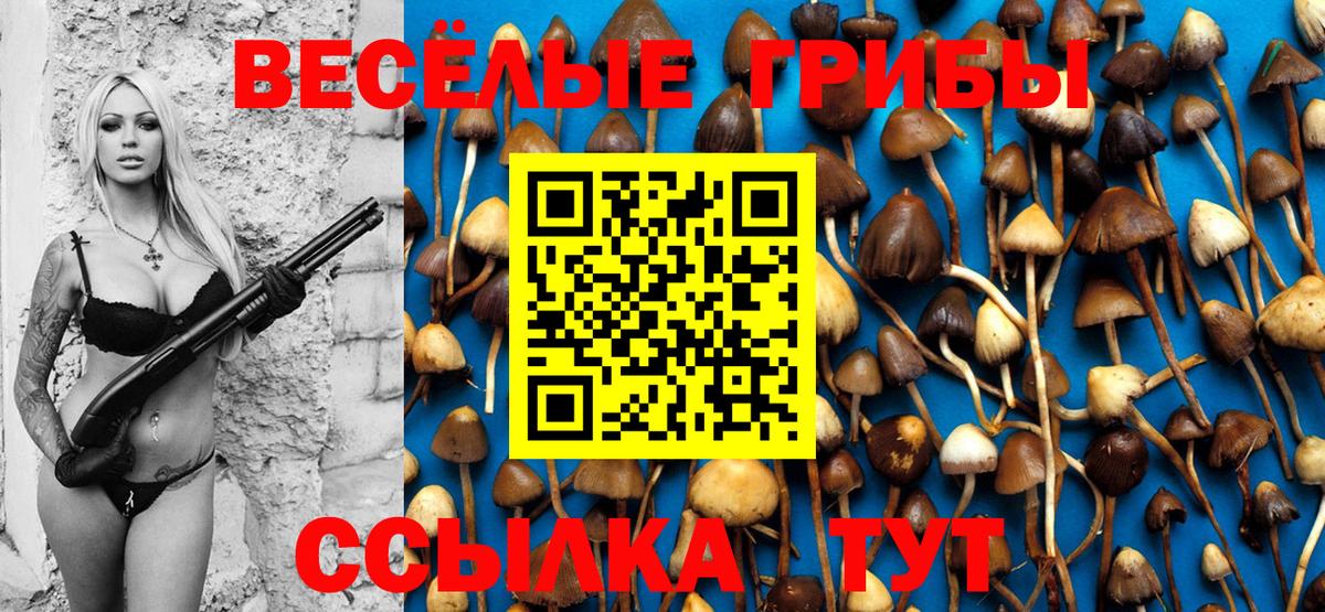 Псилоцибиновые грибы Psilocybe  Серов 