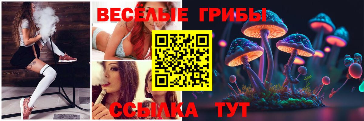 Псилоцибиновые грибы Magic Shrooms Серов